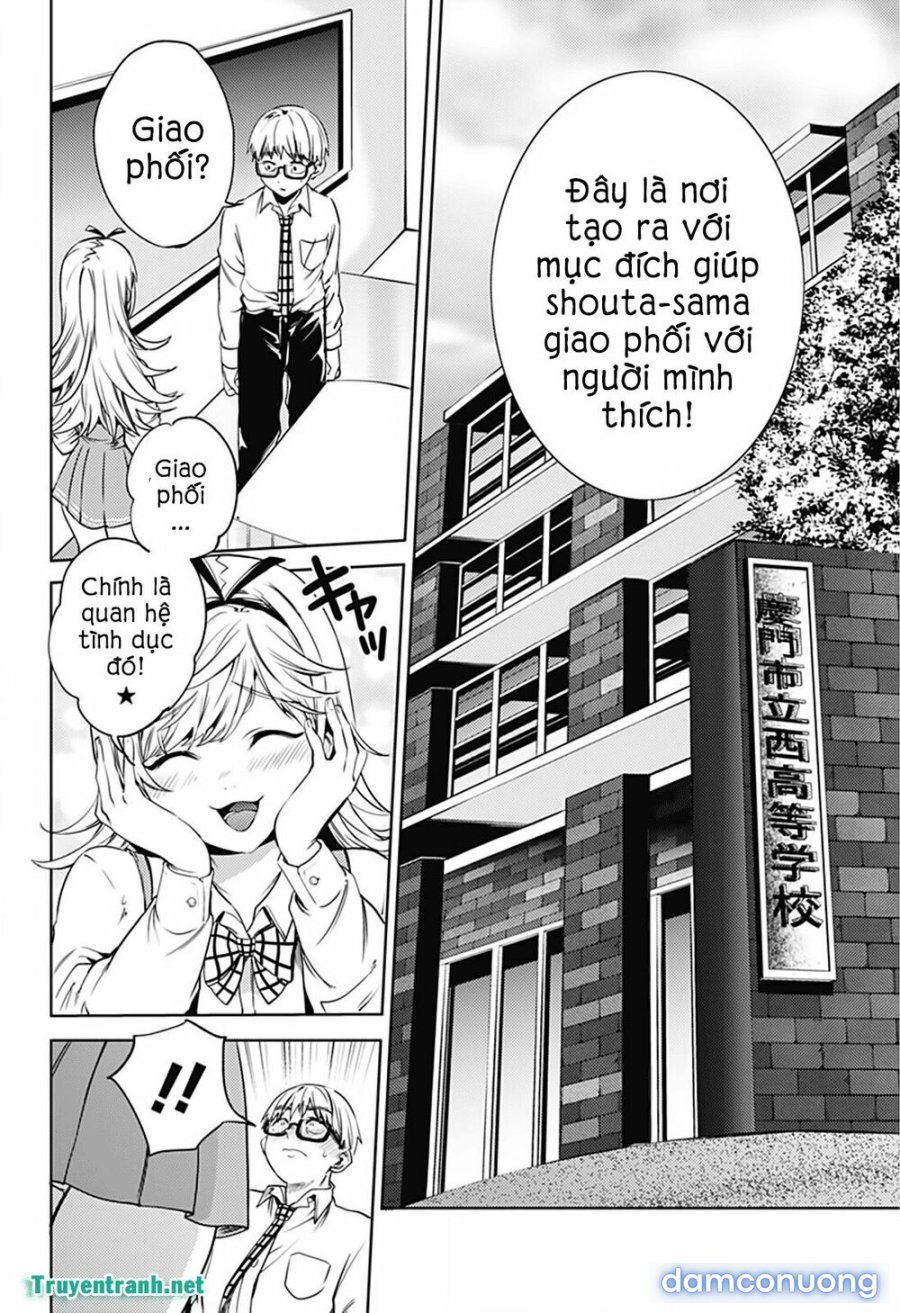 Dàn Harem Cuối Cùng 