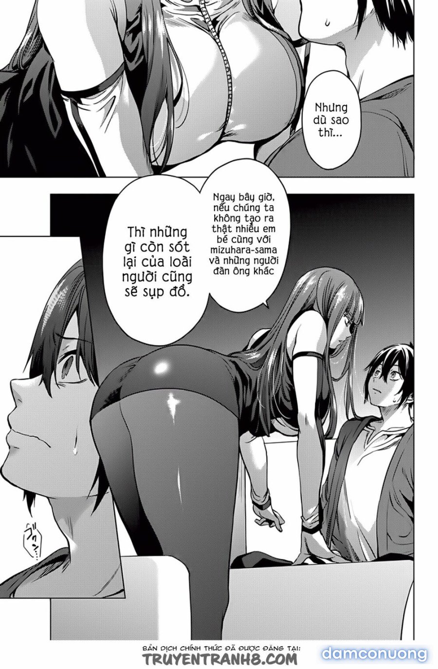 Dàn Harem Cuối Cùng 