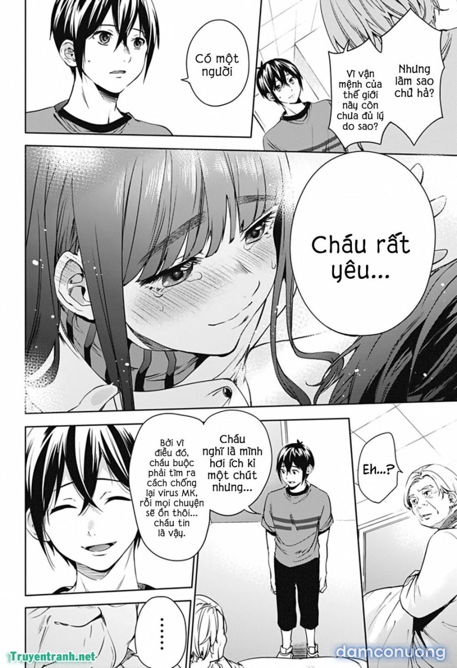 Dàn Harem Cuối Cùng 