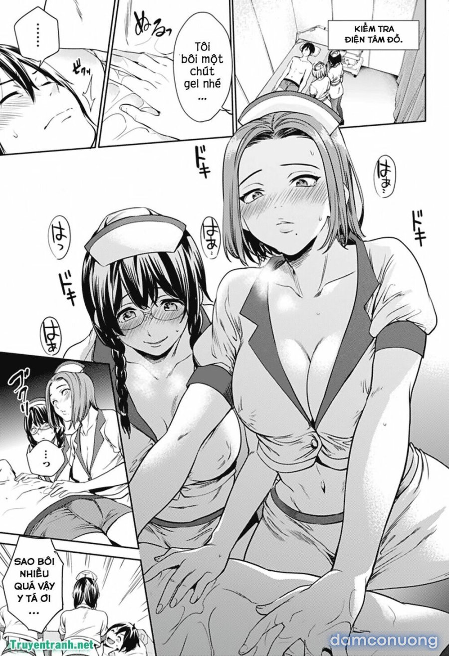 Dàn Harem Cuối Cùng 