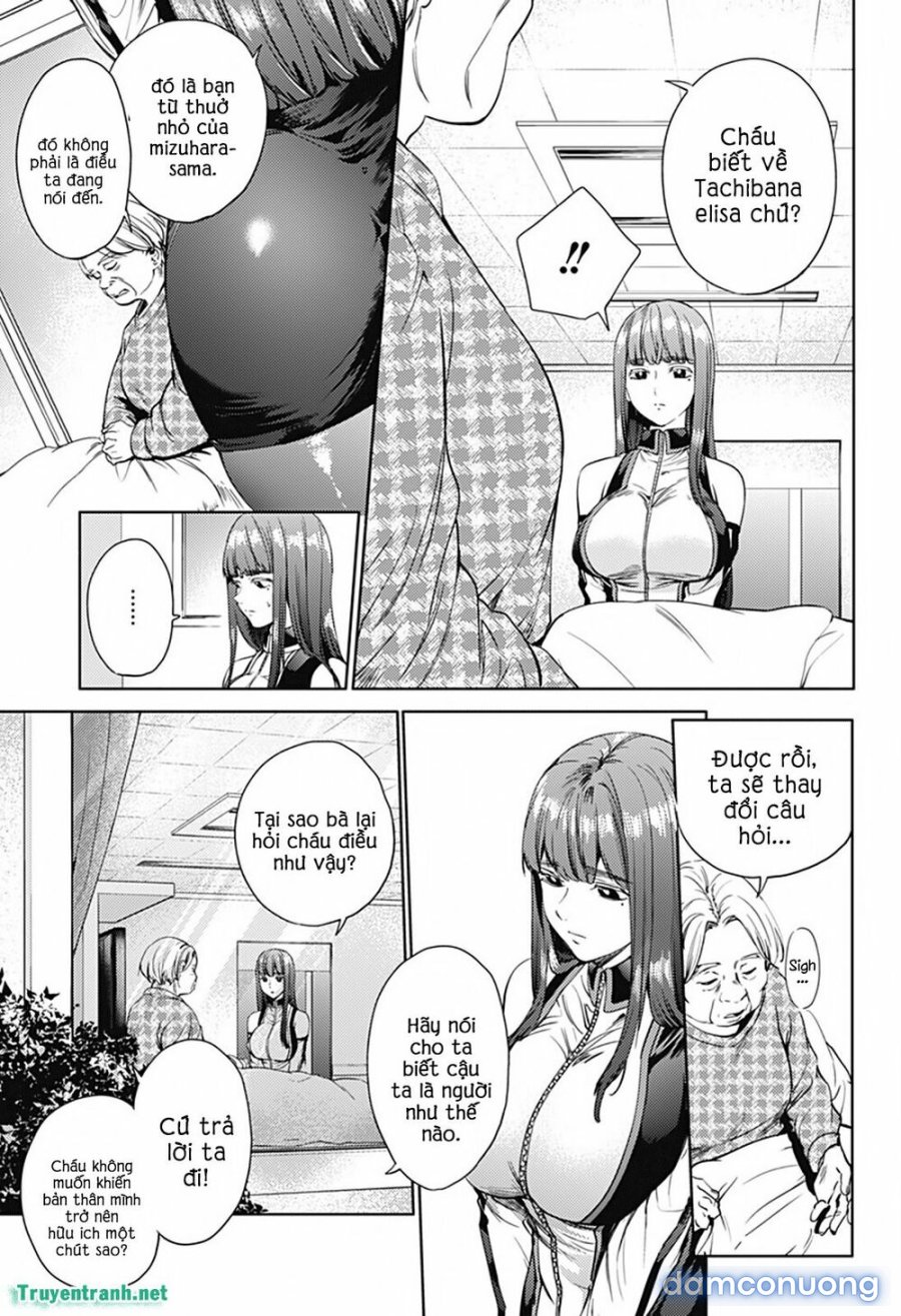 Dàn Harem Cuối Cùng 