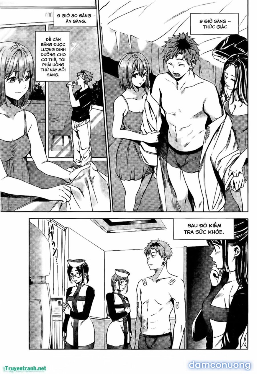 Dàn Harem Cuối Cùng 