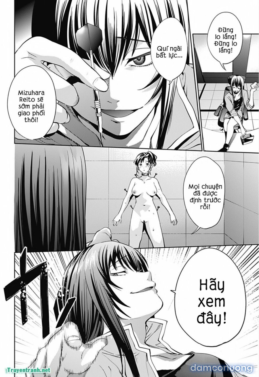 Dàn Harem Cuối Cùng 