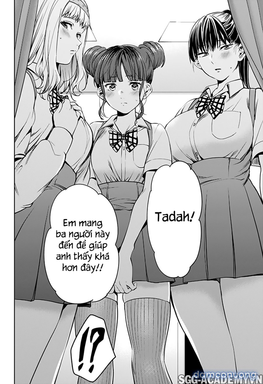 Dàn Harem Cuối Cùng 