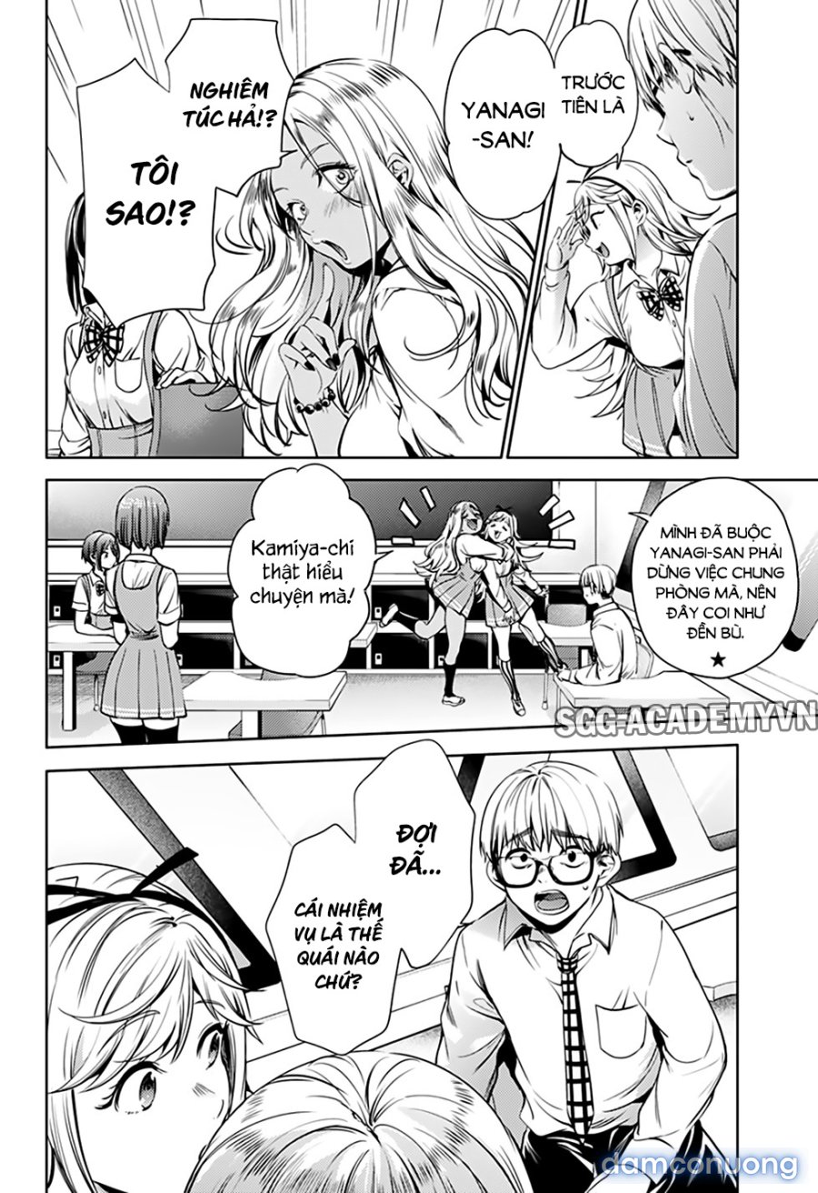 Dàn Harem Cuối Cùng 