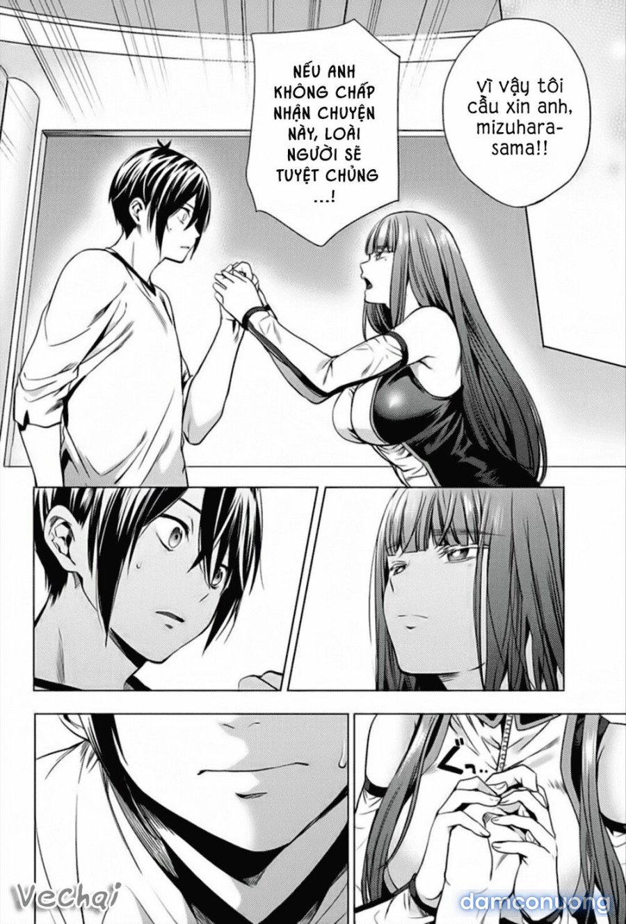 Dàn Harem Cuối Cùng 