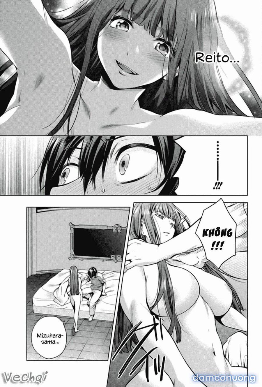 Dàn Harem Cuối Cùng 