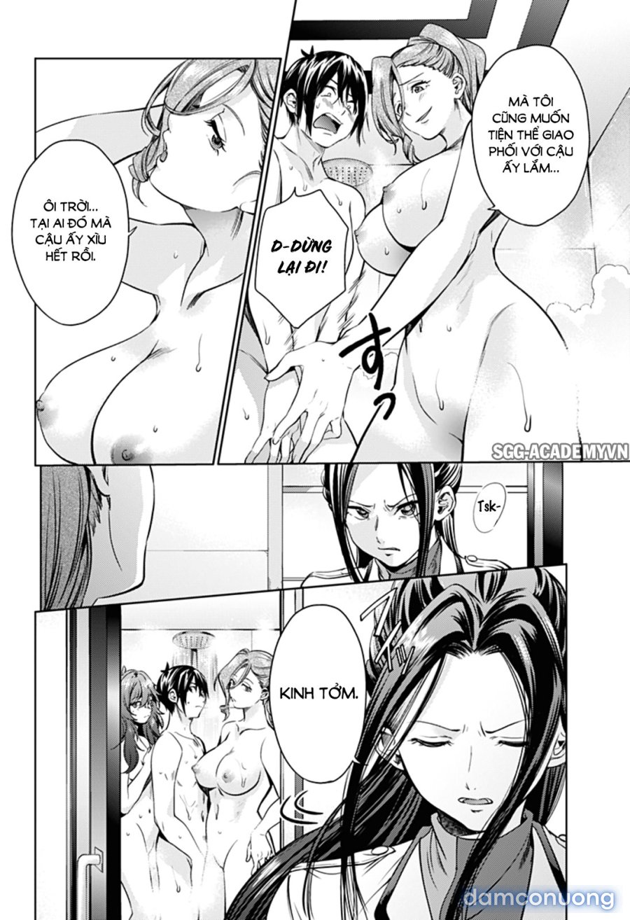 Dàn Harem Cuối Cùng 