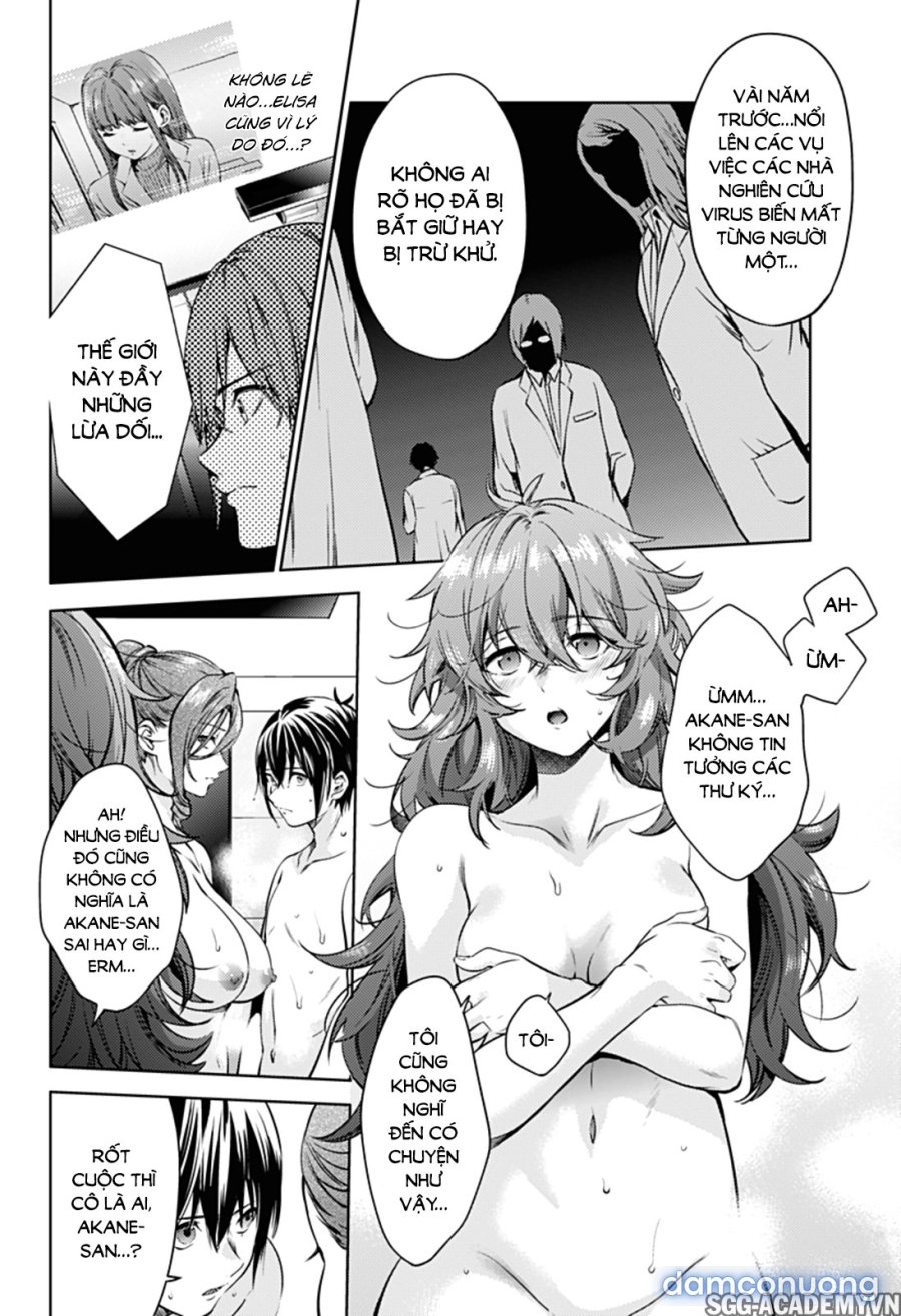 Dàn Harem Cuối Cùng 