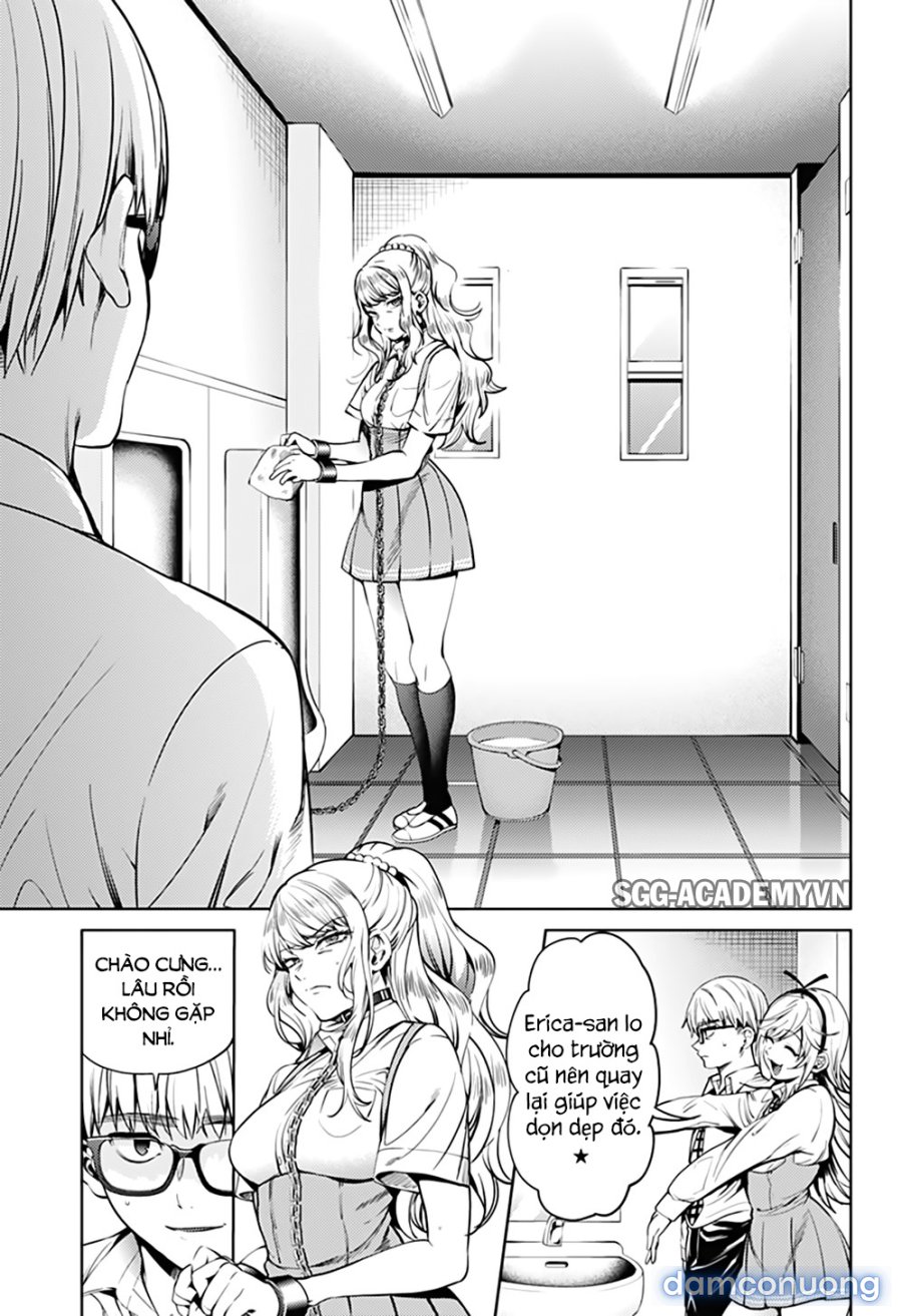 Dàn Harem Cuối Cùng 