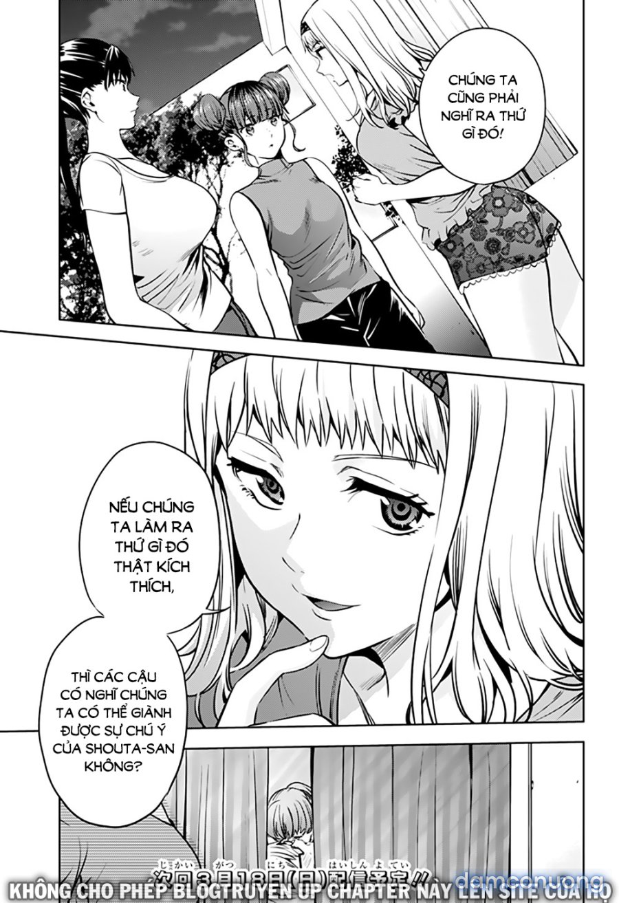 Dàn Harem Cuối Cùng 