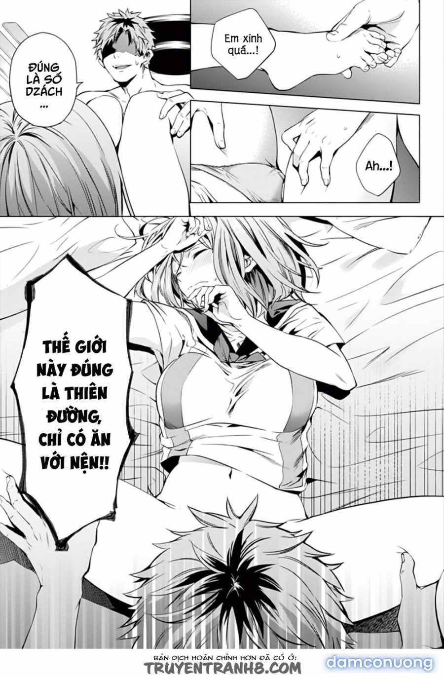 Dàn Harem Cuối Cùng 