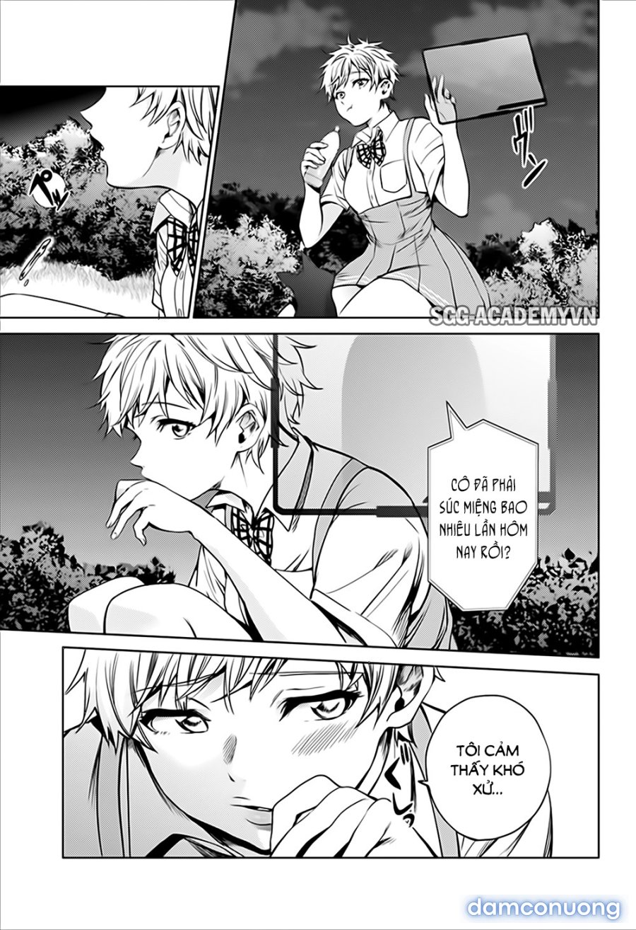 Dàn Harem Cuối Cùng 
