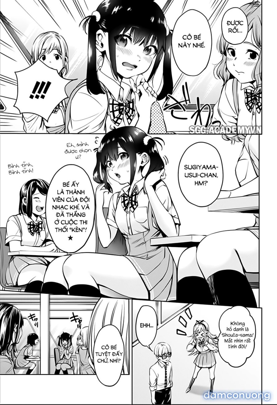 Dàn Harem Cuối Cùng 