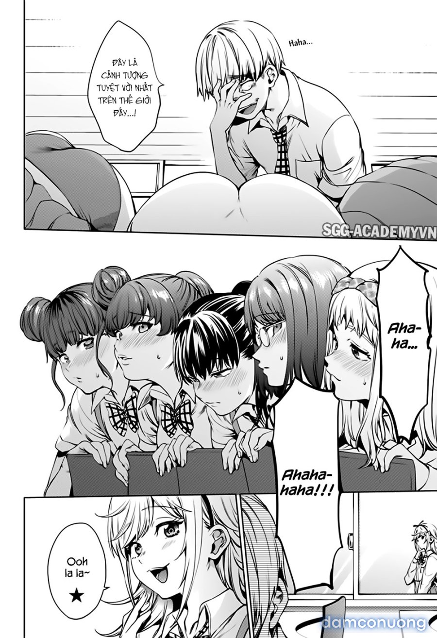 Dàn Harem Cuối Cùng 