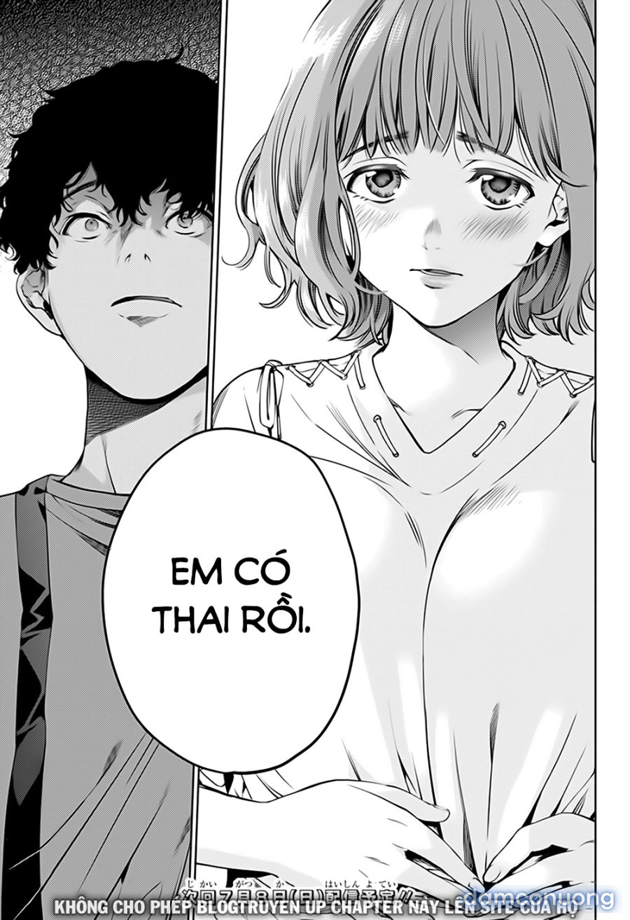 Dàn Harem Cuối Cùng 