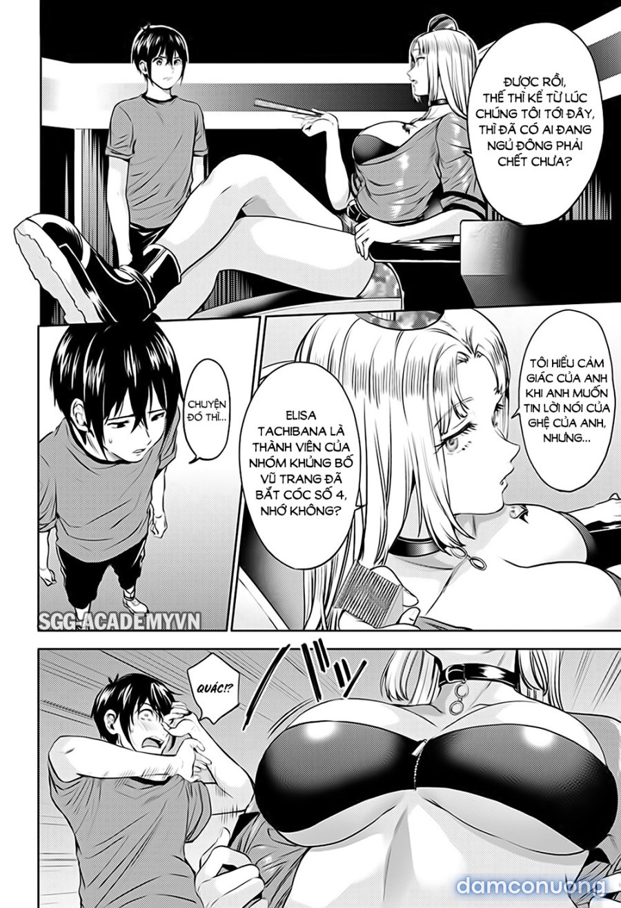 Dàn Harem Cuối Cùng 