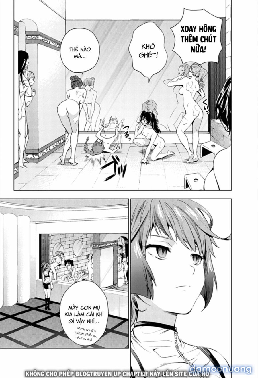 Dàn Harem Cuối Cùng 
