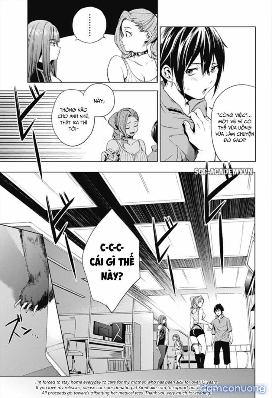 Dàn Harem Cuối Cùng 