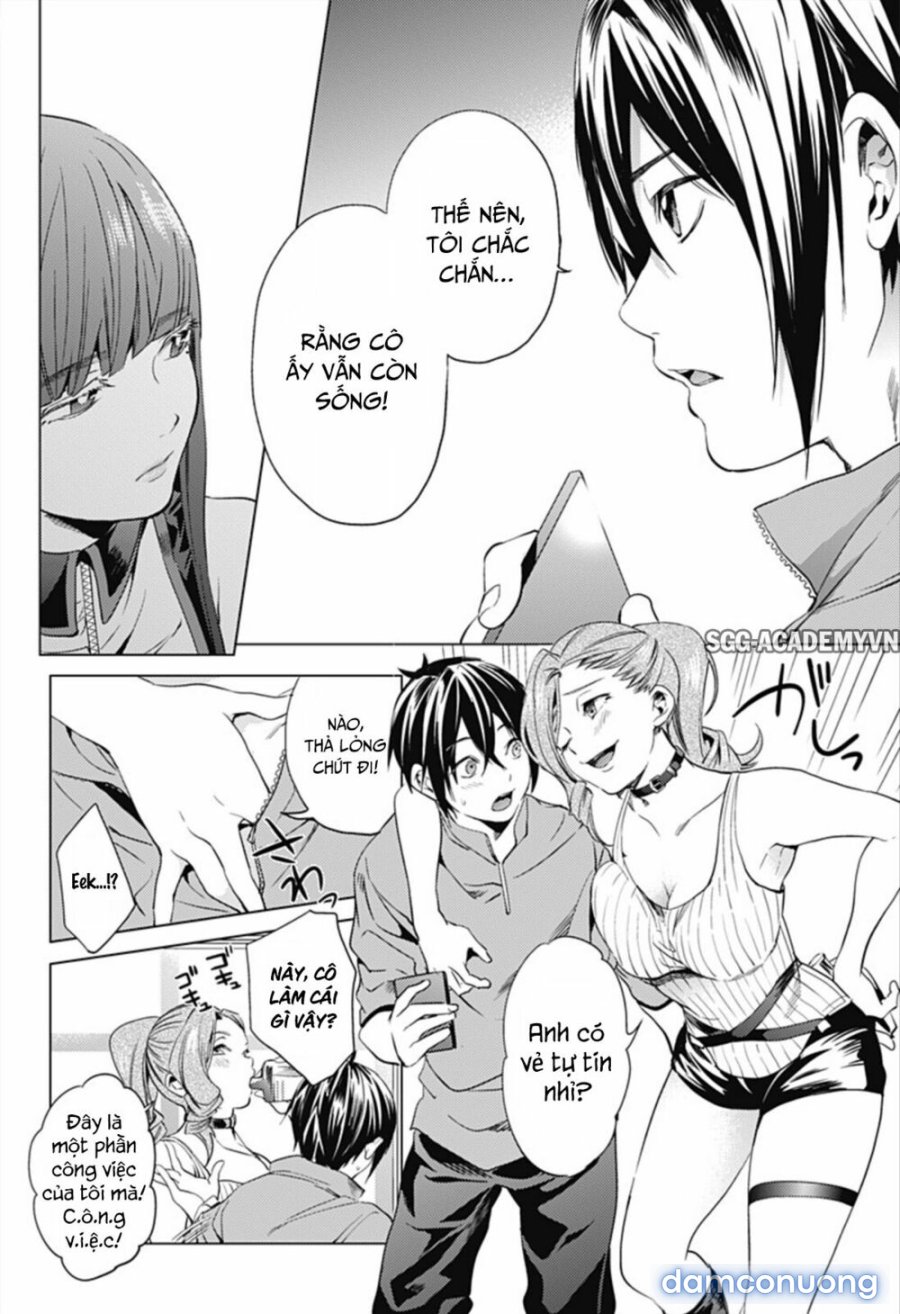 Dàn Harem Cuối Cùng 