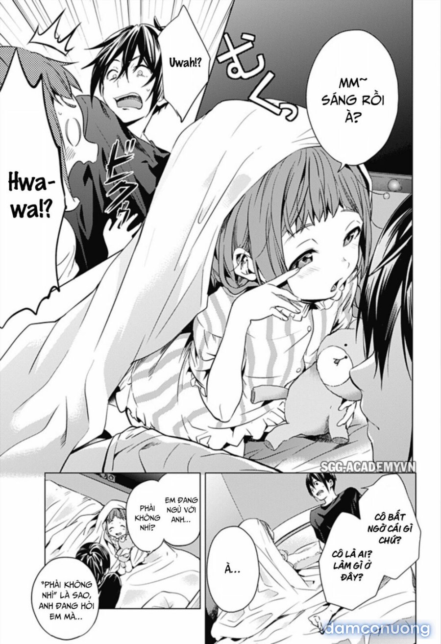 Dàn Harem Cuối Cùng 