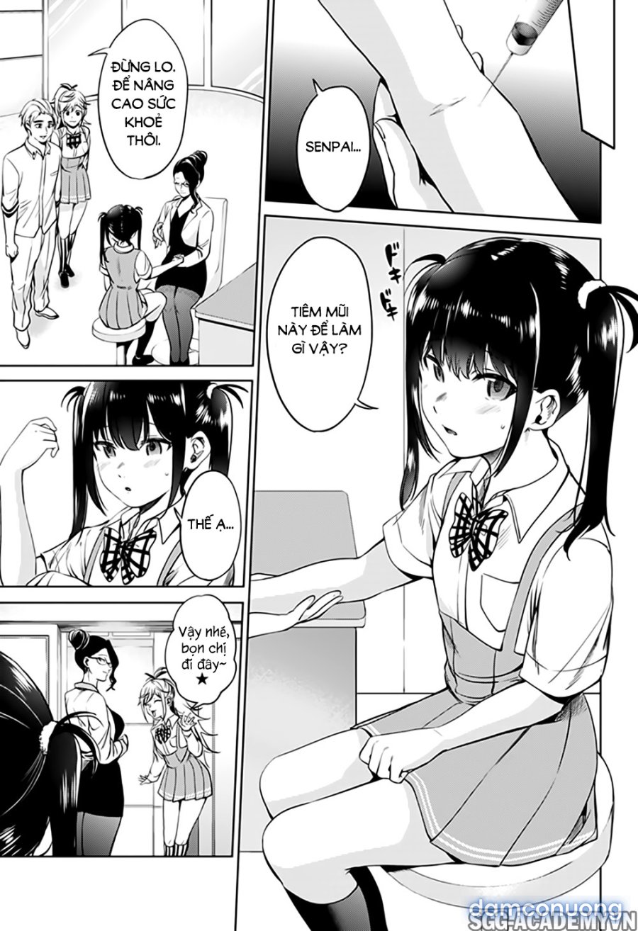 Dàn Harem Cuối Cùng 