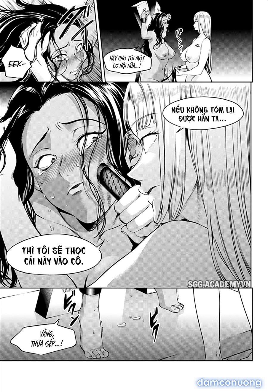Dàn Harem Cuối Cùng 