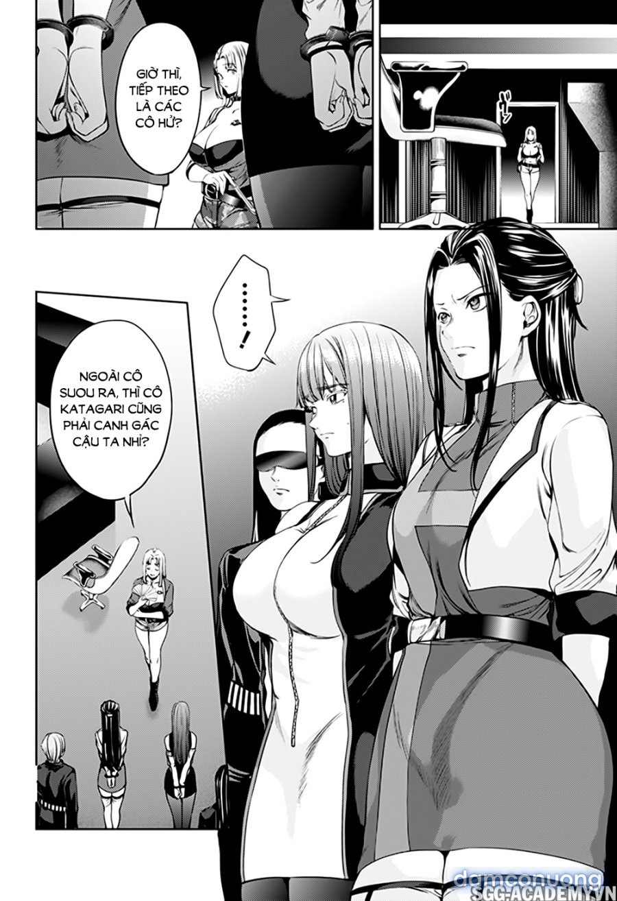 Dàn Harem Cuối Cùng 