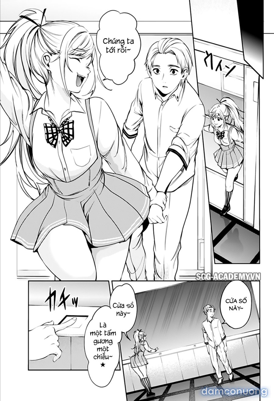 Dàn Harem Cuối Cùng 