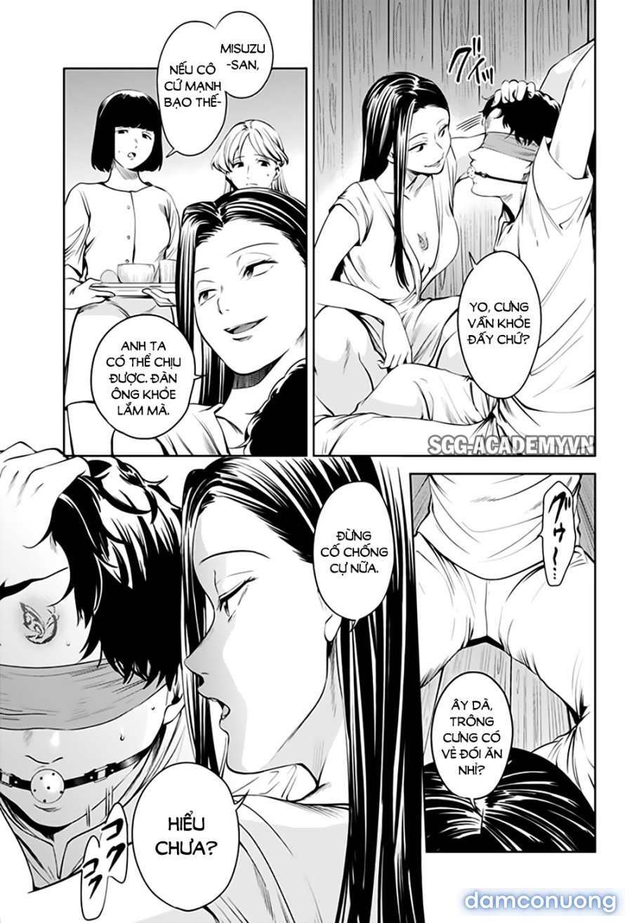Dàn Harem Cuối Cùng 