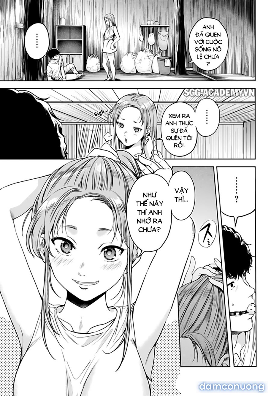 Dàn Harem Cuối Cùng 