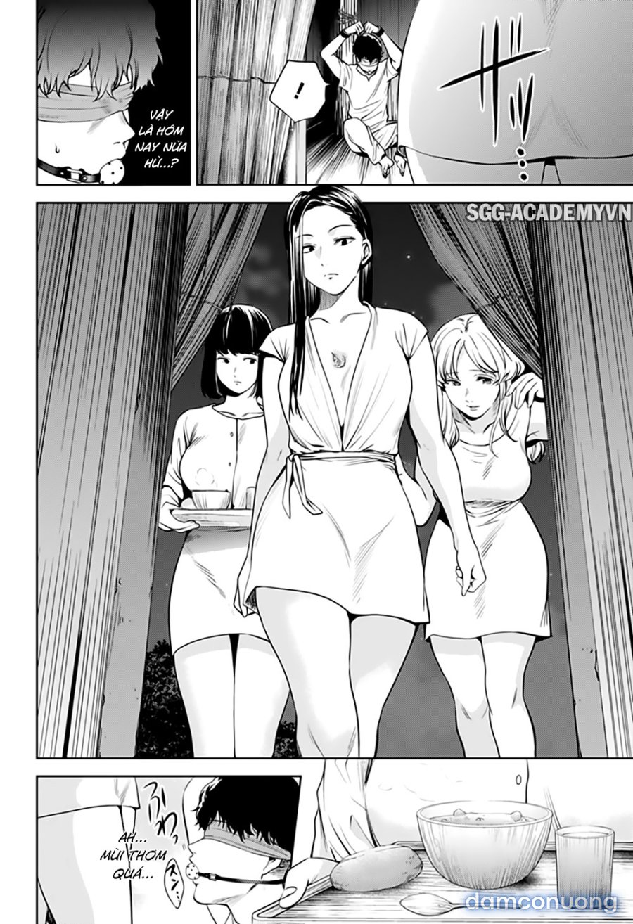Dàn Harem Cuối Cùng 