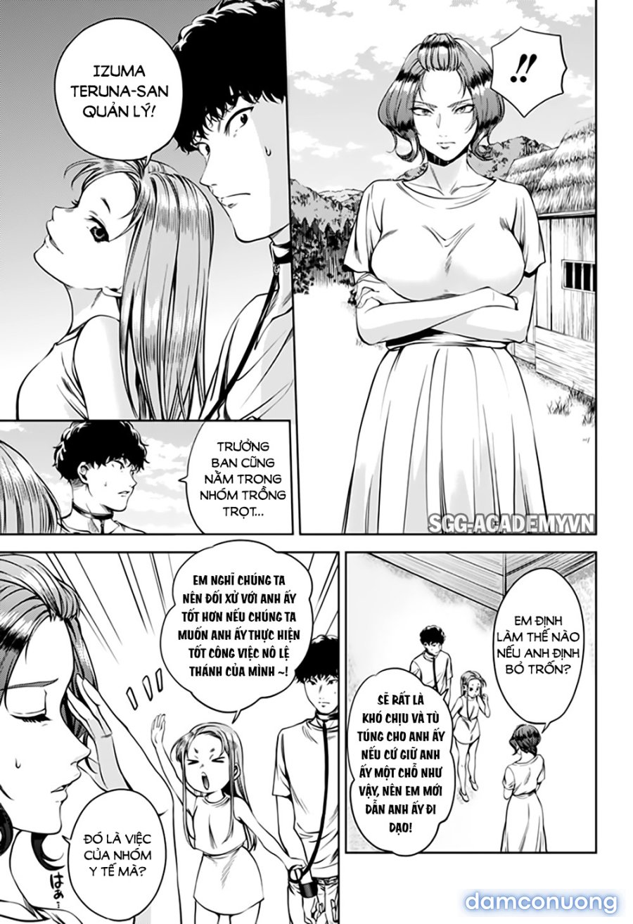 Dàn Harem Cuối Cùng 