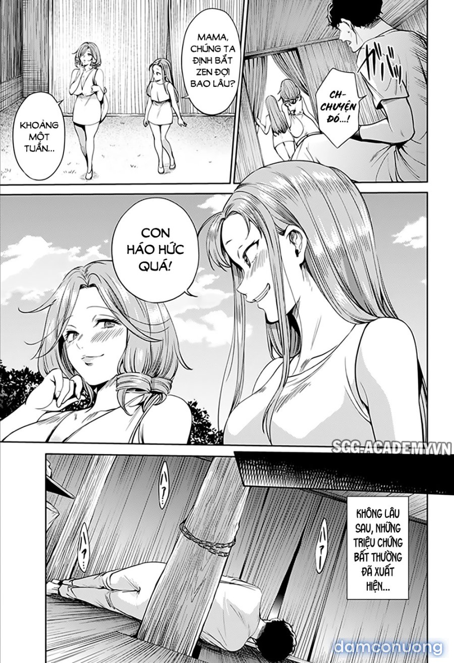 Dàn Harem Cuối Cùng 
