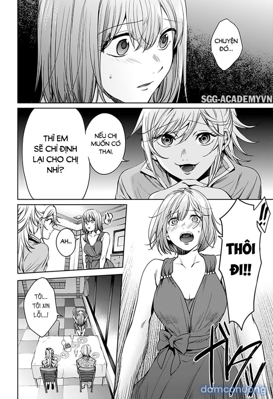 Dàn Harem Cuối Cùng 