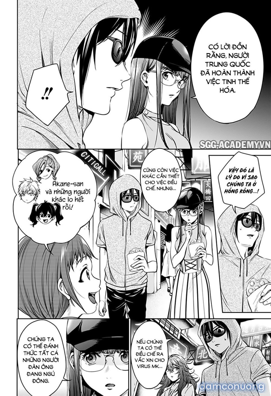 Dàn Harem Cuối Cùng 
