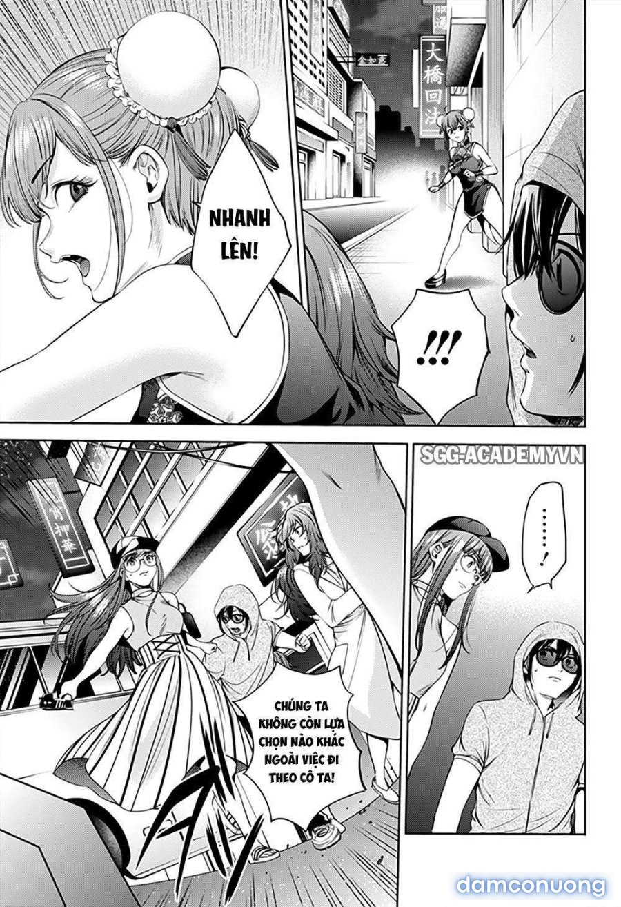Dàn Harem Cuối Cùng 