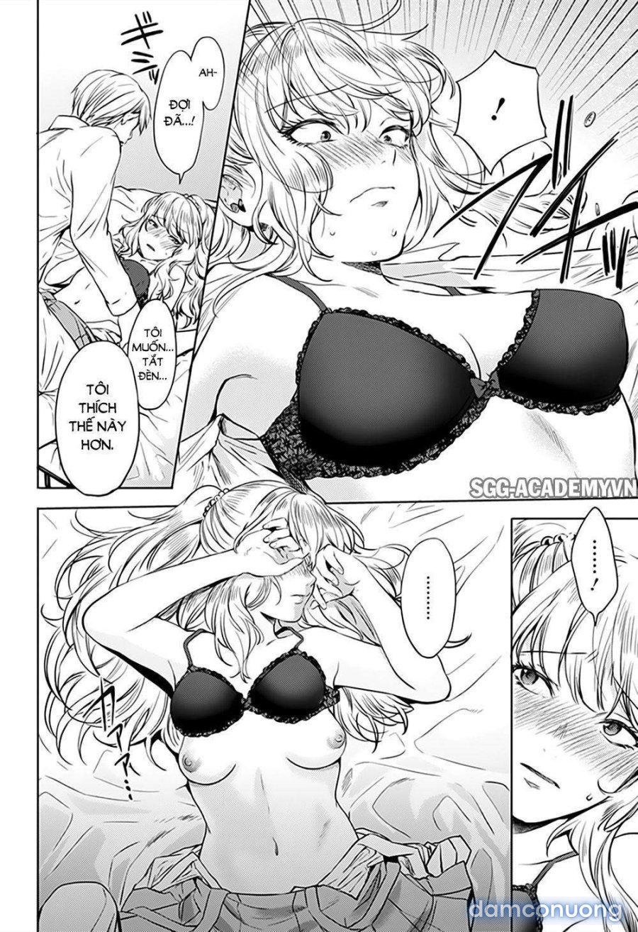 Dàn Harem Cuối Cùng 