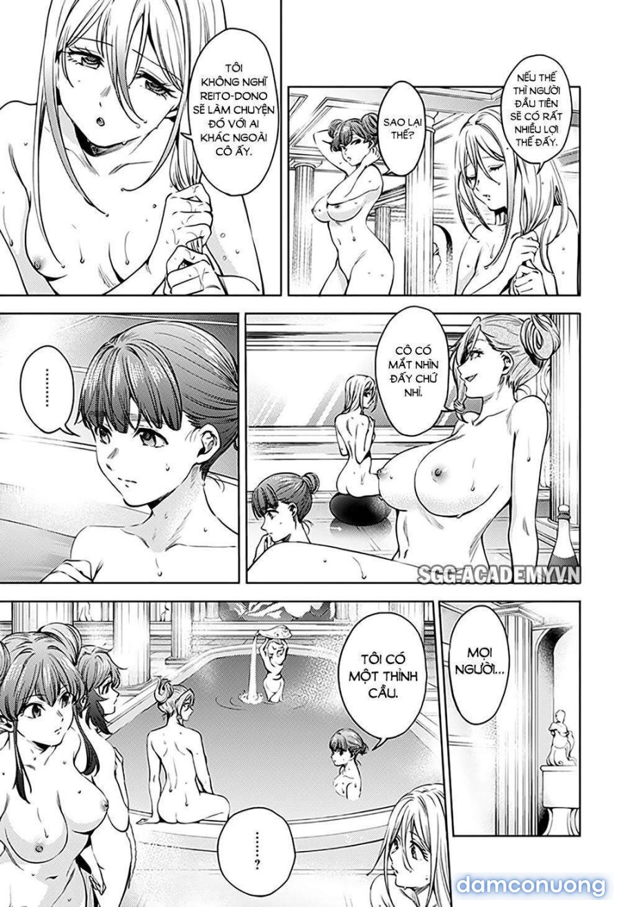 Dàn Harem Cuối Cùng 