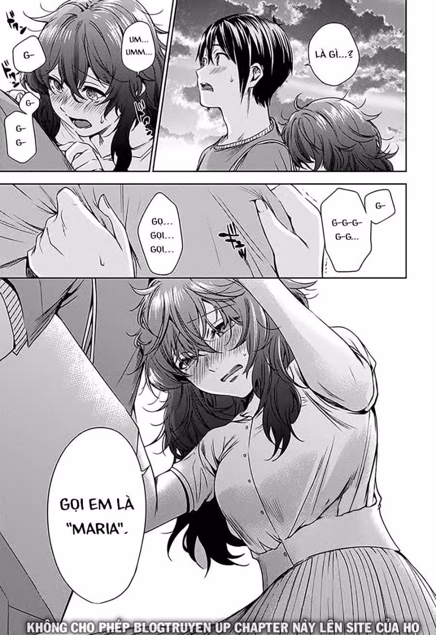 Dàn Harem Cuối Cùng 