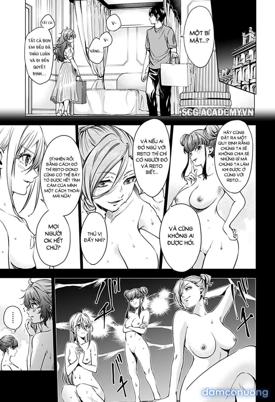 Dàn Harem Cuối Cùng 