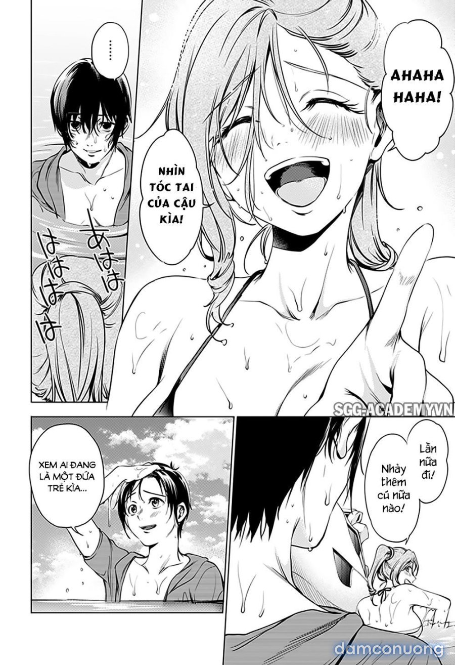 Dàn Harem Cuối Cùng 