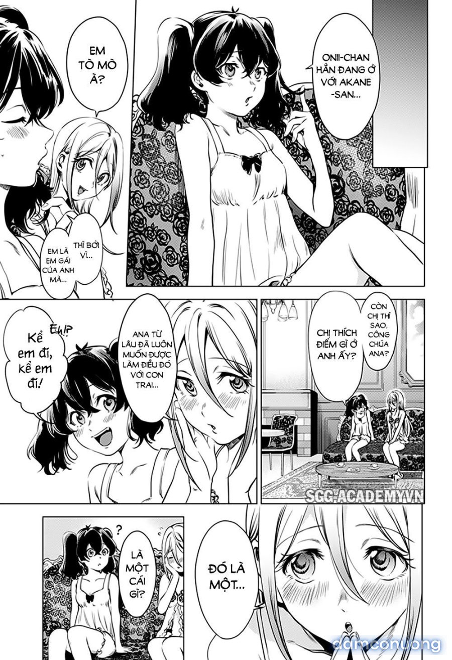 Dàn Harem Cuối Cùng 