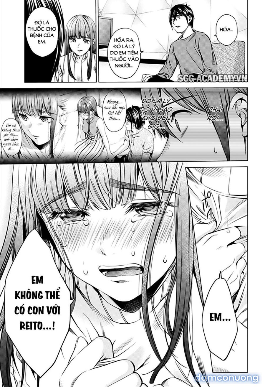 Dàn Harem Cuối Cùng 