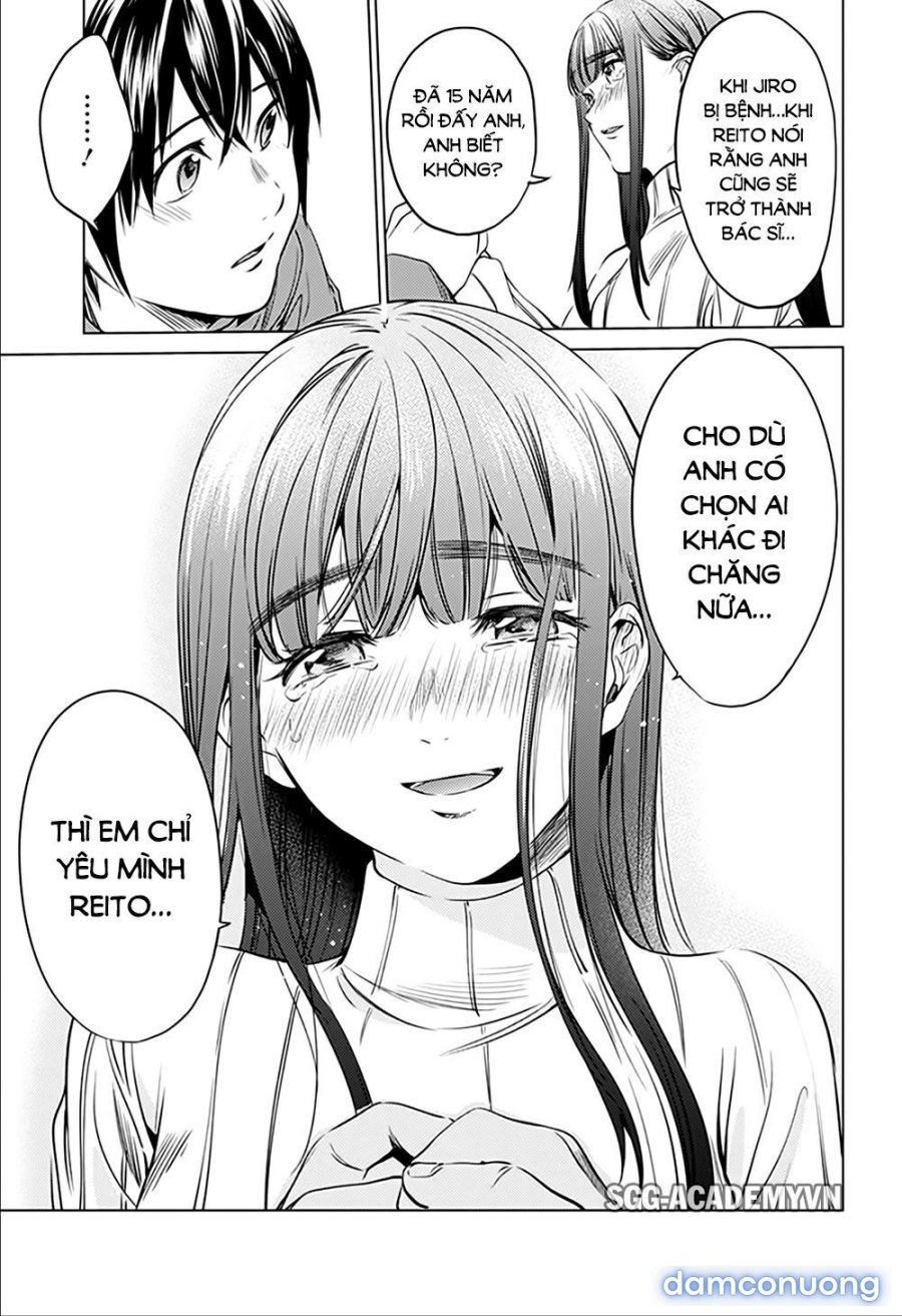 Dàn Harem Cuối Cùng 