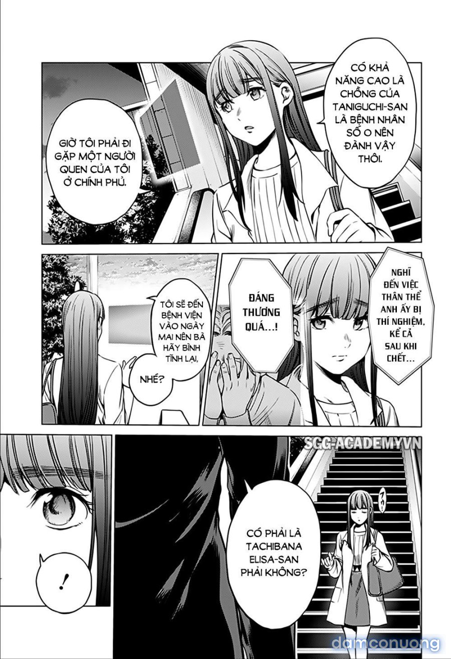 Dàn Harem Cuối Cùng 