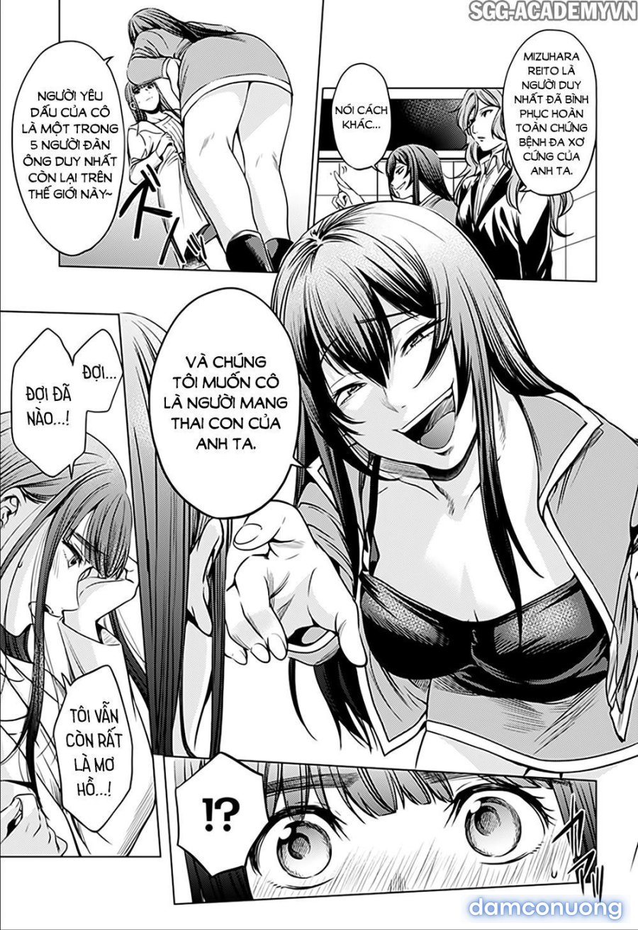 Dàn Harem Cuối Cùng 