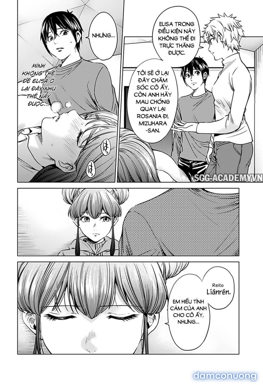 Dàn Harem Cuối Cùng 