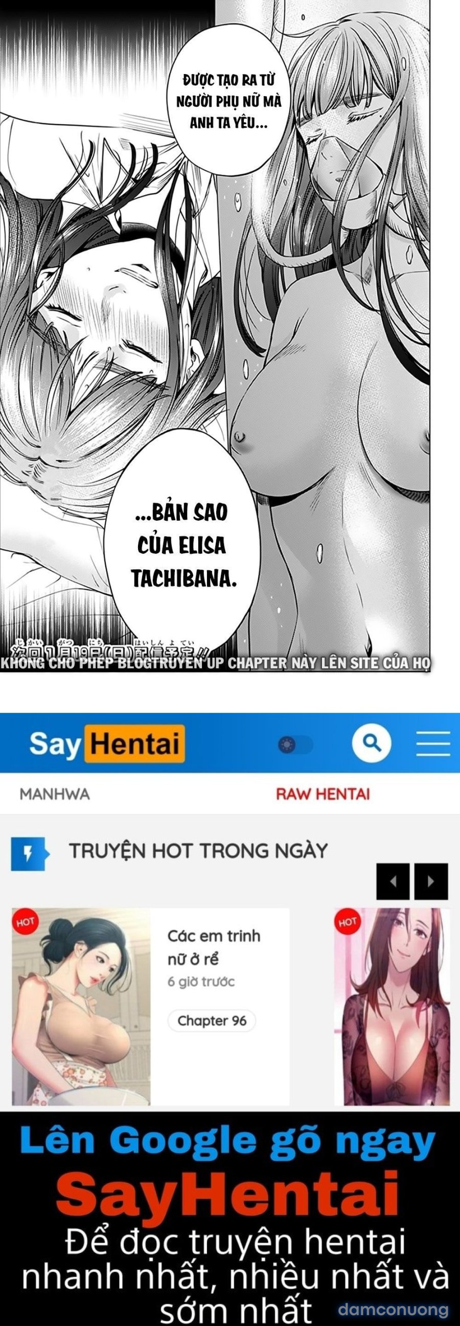 Dàn Harem Cuối Cùng 