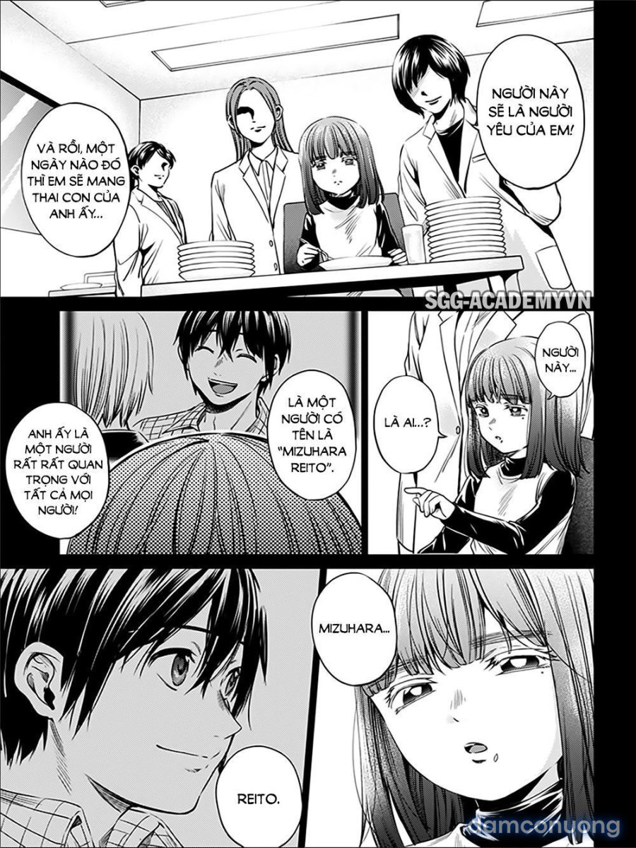 Dàn Harem Cuối Cùng 